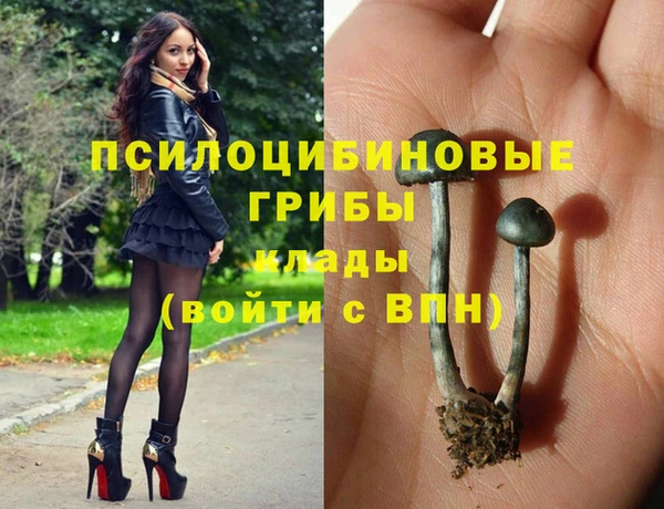 спиды Армянск