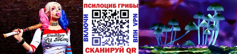 Псилоцибиновые грибы мицелий  купить наркоту  даркнет клад  Барыш 